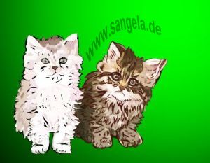 Котята милые и озорные (Junge Katze)